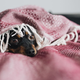 Imagen para el artículo titulado La razón por la que tu perro tiene pánico a las tormentas eléctricas